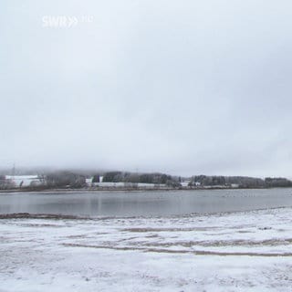 In Schnee und Nebel gehüllte Landschaft