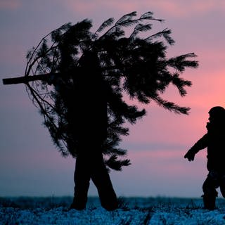 Ein Mann trägt einen Weihnachtsbaum, zwei Kinder folgen ihm und tragen zusammen eine Säge.