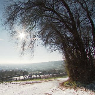 Winterlandschaft