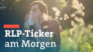 Pollen fliegen