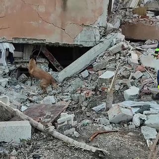 Einsatz im Erdbebengebiet der Türkei