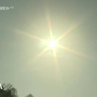 Sonnenschein in Otterbach