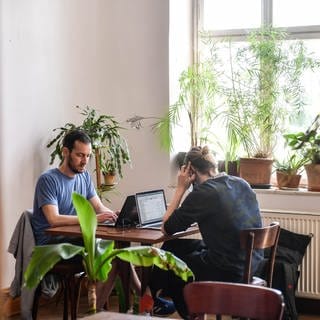 Zwei Männer sitzen in einem Co-Working-Space am Laptop und arbeiten.