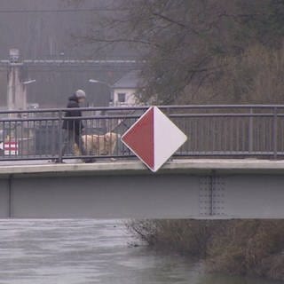 Spaziergänger geht mit Hund über Brücke