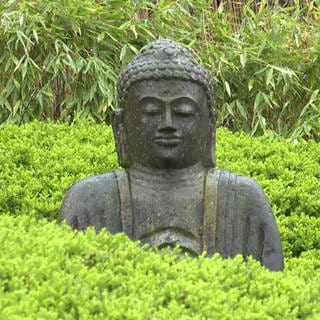 Buddha im botanischen Garten in Kaiserslautern