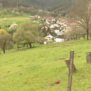 Blick auf die Hangseite des Wingertsberg