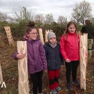 Drei Schülerinnen nehmen am Wiederbewaldungsprojekt im Nassauer Wald teil