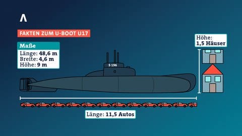 So groß ist das U-Boot U17, das jetzt von Kiel über Holland nach Speyer ins Technik Museum transportiert wird.