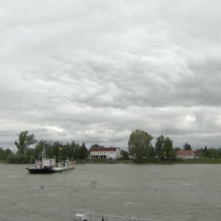 Die Rheinfähre in Nierstein