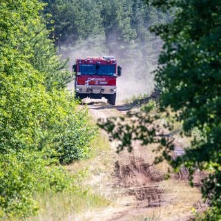 Ein spezielles Löschfahrzeug für Waldbrände der Marke Tatra ist bei einem Löscheinsatz im Waldbrandgebiet im Einsatz. 