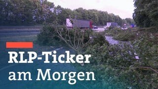 Morning-Ticker mit Unwetter-Bild: Bäume sind nach einem Unwetter auf die A48 bei Polch in der Eifel gestürzt. Über RLP hat der Sturm weniger Schäden als befürchtet verursacht. 