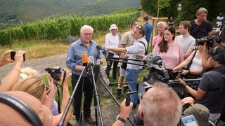 Steinmeier im Ahrtal