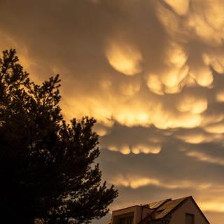Spektakuläre Mammatuswolken nach einem Gewitter am Himmel über Mutterstadt, Pfalz. (11.07.2023)