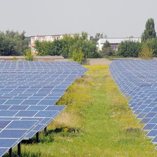 Eine Photovoltaik-Freiflächen-Anlage