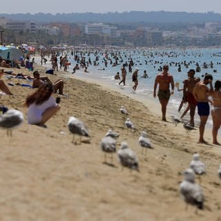 In Spanien ist es seit Wochen sehr heiß. Die Strände sind voll