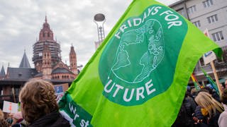 Archivaufnahme von einer Demonstration für Klimaschutz in Mainz