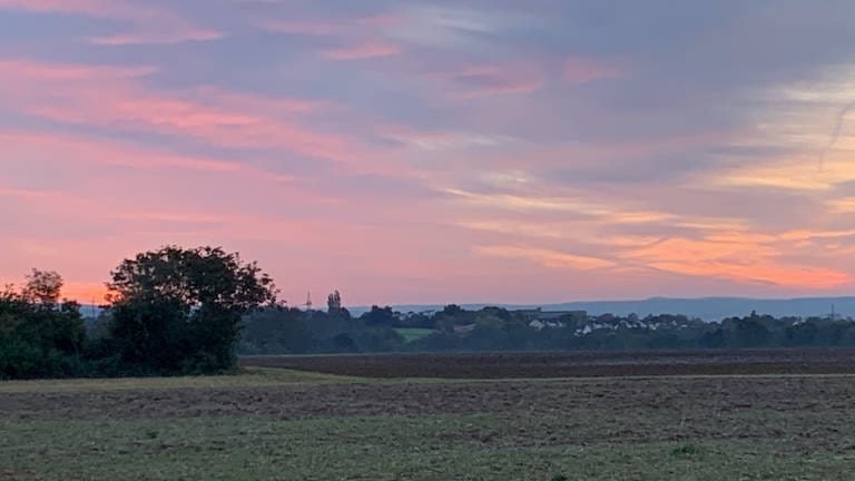 Silke Riehl hat uns dieses Herbstbild von den Feldern bei Neuwied geschickt.