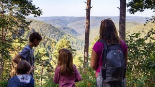 Familie mit Kindern beim Wandern im Pfälzerwald