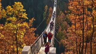 Ein Ausflugstipp für den Herbst in Rheinland-Pfalz: Die Hängeseilbrücke im Hunsrück bei Mörsdorf. 