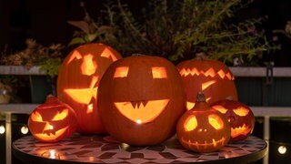 An Halloween stehen geschnitzte Kürbisse auf einem Tisch.