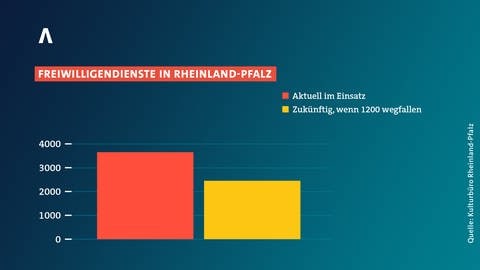 In Rheinland-Pfalz könnten 1.200 Stellen für Freiwilligendienstleistende wegfallen. 