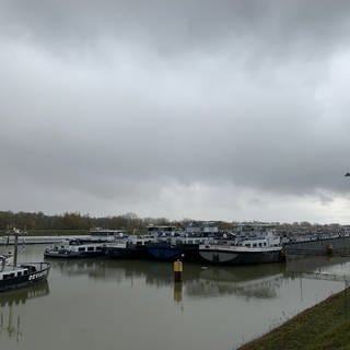 Frachter warten bei Hochwasser in Iffezheim 