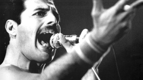 Freddie Mercury