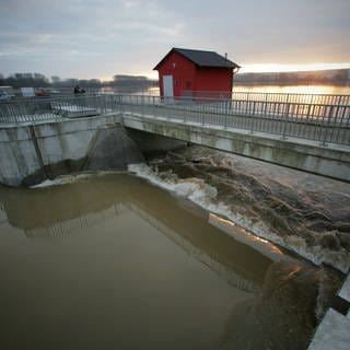 Der Polder in Ingelheim wird das erste Mal geflutet