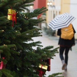 An Weihnachten wird es eher Regen als Schnee geben