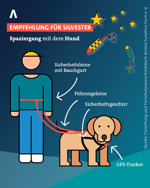 Spaziergang mit dem Hund - Empfehlung für Silvester