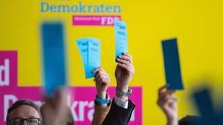 Abstimmung bei der FDP