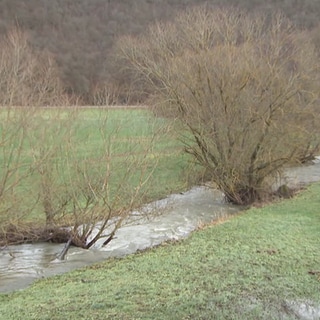 Ein Bach am Überlaufen