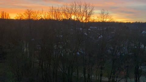 Sonnenaufgang bei Wörth am Rhein