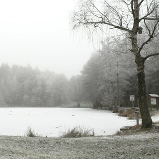 Zugefrorener Weiher