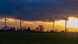 In Rheinland-Pfalz wurden im vergangenen Jahr 33 neue Windkraftanlagen gebaut 