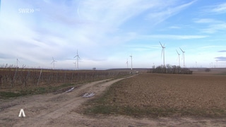 Windräder auf  einem Feld