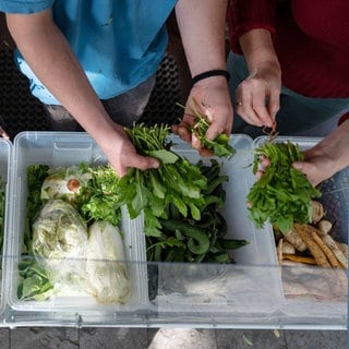 Ehrenamtliche Helfer sortieren in einer Foodsharing-Station Lebensmittel. 