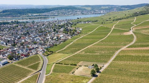 Rüdesheim am Rhein aus der Vogelperspektive. Man sieht Weinhänge, das Dorf und den Rhein.