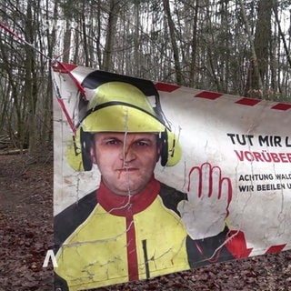 Waldarbeiten im Reichswald Kaiserslautern