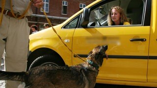 Hundeseminar für Postboten