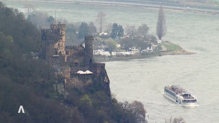 Burg am Rhein