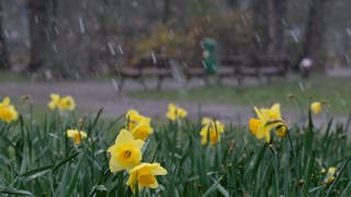 Rheinland-Pfalz erwartet am Wochenende wechselhaftes Wetter