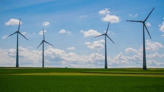 Vier Windkraftanlagen stehen auf einem Feld. Der Ausbau in Rheinland-Pfalz kommt allmählich voran.