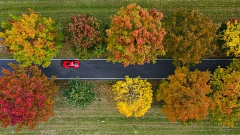 Blick von oben auf ein rotes Auto, das durch eine herblich bundt gefärbte Alle fährt.