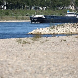 Niedrigwasser auf dem Rhein