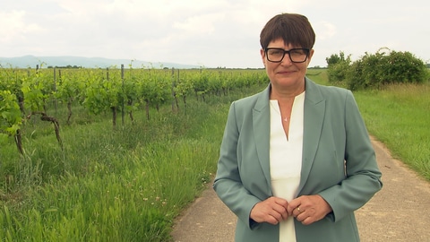 Christine Schneider (CDU) stellt sich zur EU-Wahl