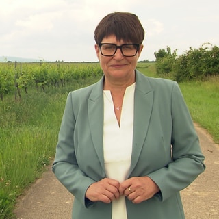 Christine Schneider (CDU) stellt sich zur EU-Wahl