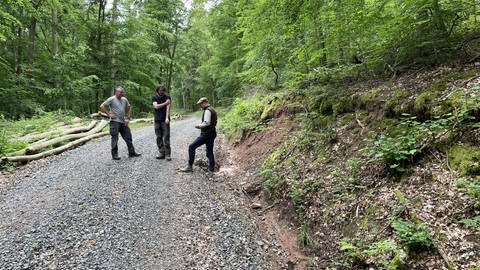 Förster schauen sich an, wie eine Rigole im Waldweg das Wasser verlangsamt hat.