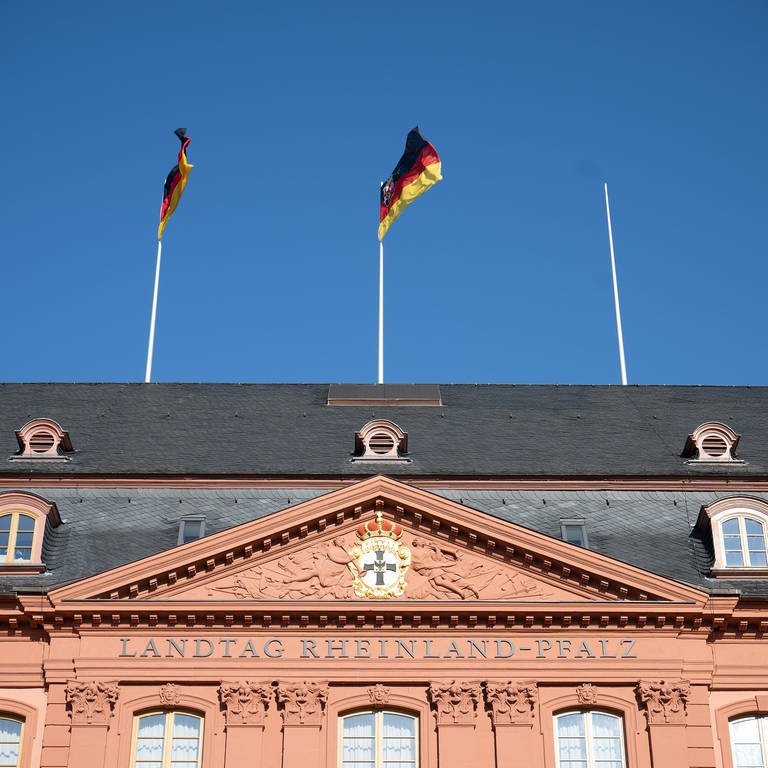 Ab sofort gilt im Landtag von Rheinland-Pfalz eine neue Hausordnung, die Extremisten den Zugang erschweren soll.