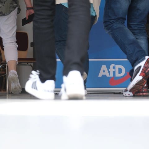 Auf dem AfD-Landesparteitag in Simmern wählen die Delegierten einen neuen Landesvorstand.
